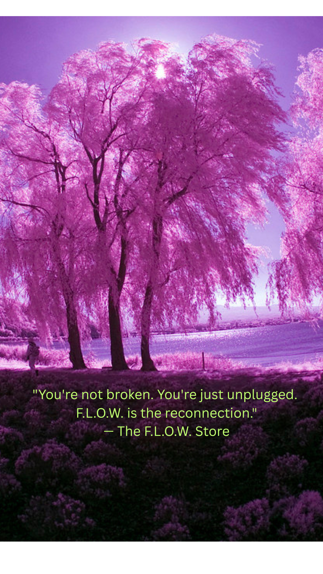 The Science of F.L.O.W.: Reconnecting with Our Natural State